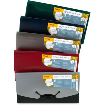 Mead Expandables 13-Pocket Expanding File, Check Size, Assorted