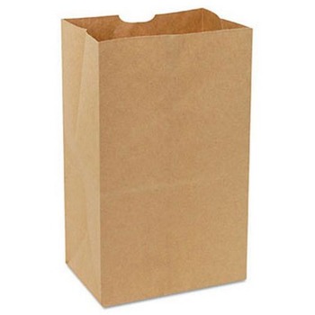 Duro Bag Kraft Paper Bags, Extra Heavy-Duty, 25 lb., Natural, 500/Carton