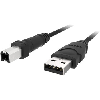 Belkin USB Cable, Type A Male USB, Type B Male USB, 10ft