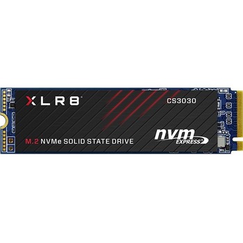 PNY Technologies CS3030 250 GB Solid State Drive