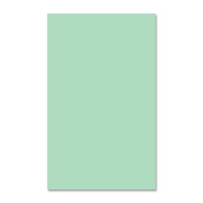 EarthChoice Colors Multipurpose Paper - Green
