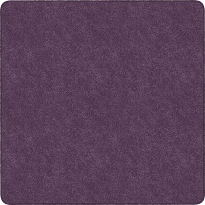 Image for FCITS26PP