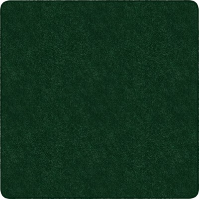 Image for FCITS70EG