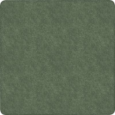Image for FCITS26SG
