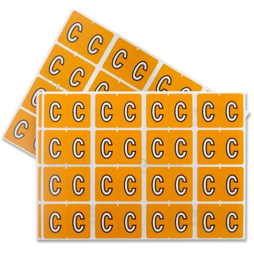 Pendaflex Color Coded Label - "Alphabet" - 1 1/4" x 15/16" Length - Rectangle - Light Orange - 240 / Pack