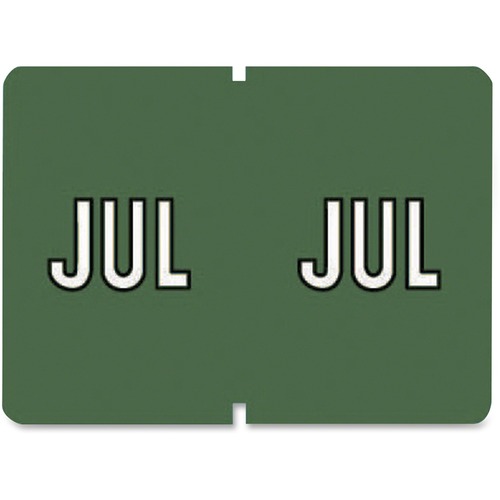 Pendaflex Monthly Color Coded Label - "Month" - 1 1/4" x 15/16" Length - Rectangle - Assorted - 1 / Box