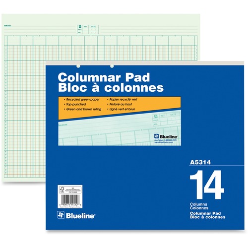 Blueline Columnar Pad - 50 Sheet(s) - Gummed - 16 1/2" x 14" Sheet Size - 2 x Holes - 14 Columns per Sheet - Green Sheet(s) - Blue Cover - Recycled - 1 Each