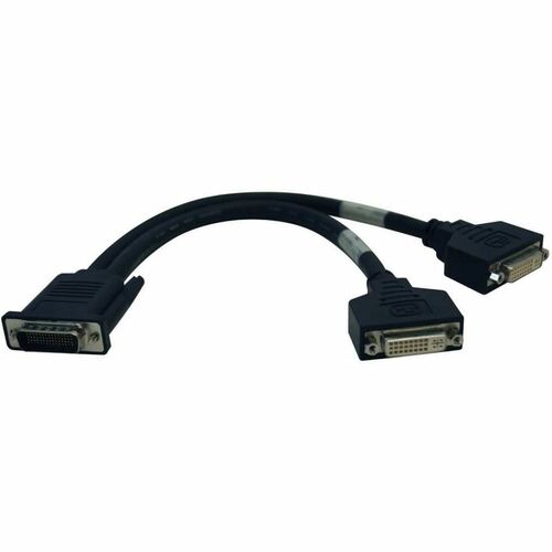 Tripp Lite DMS-59 to Dual DVI Splitter Y Cable (M to 2x DVI-I F) 1 ft. (0.31 m) - (M to 2x DVI-I F) 1-ft.