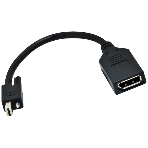 Matrox Video Cable - DisplayPort Video - mini DisplayPort