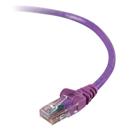 Belkin Cat.5e UTP Patch Cable - RJ-45 Male Network - RJ-45 Male Network - 12ft - Purple
