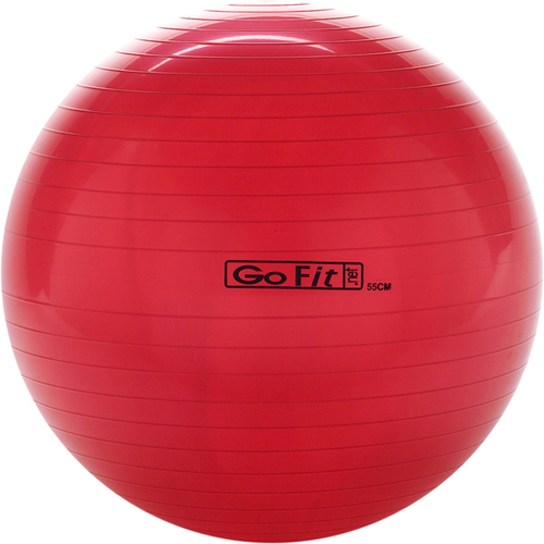 GoFit Inflatable Exercise Ball - Plastic