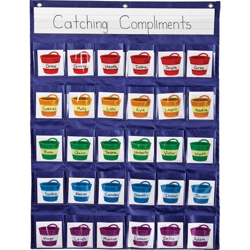 Carson Dellosa Education Reinforcement Pocket Chart - Skill Learning: Chart - 1 Each
