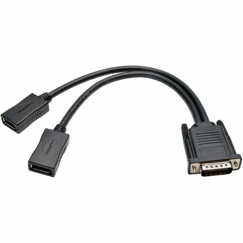 Eaton Tripp Lite Series DMS-59 to Dual DisplayPort Splitter Y Cable (M to 2xF), 1 ft. (0.31 m) - DMS-59/DisplayPort for Audio/Video Device, Digital Video Recorder - 1 ft - 1 x DMS-59 Male Video - 2 x DisplayPort Female Digital Audio/Video - Gold-plated Co