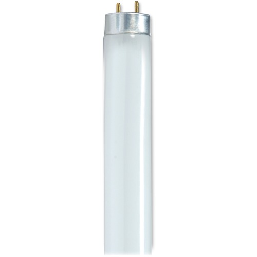 Satco 25-watt 48" T8 Fluorescent Bulb - 25 W - 120 V AC - 2400 lm - T8 Size - Cool White Light Color - G13 Base - 30000 Hour - 6920.3°F (3826.8°C) Color Temperature - 85 CRI - Energy Saver - 30 / Carton