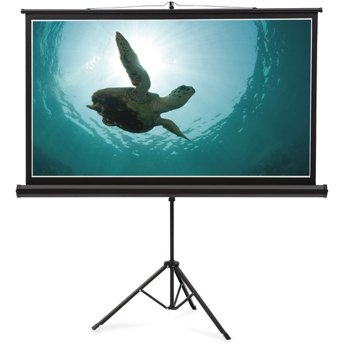 Presentation / Projection Screens