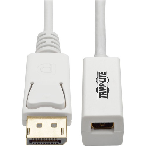 Tripp Lite by Eaton DisplayPort to Mini DisplayPort Adapter Cable (M/F), 4K 60 Hz, 3 ft. (0.9 m) - DisplayPort/Mini DisplayPort for Monitor, Audio/Video Device, Graphics Card - 3 ft - 1 x DisplayPort Male Digital Audio/Video - 1 x Mini DisplayPort Female 