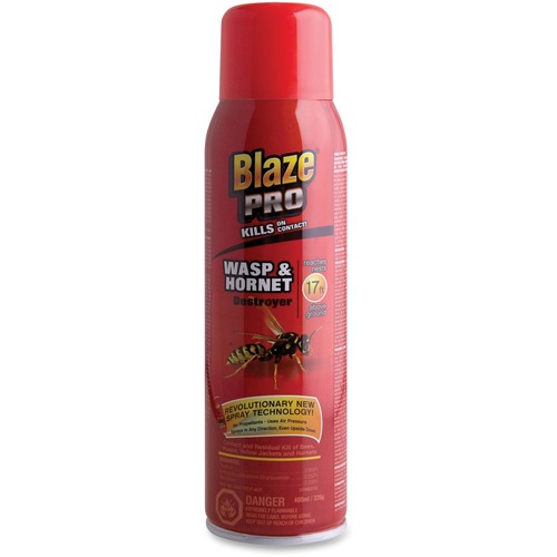 Empack Insecticide - Spray - Kills Wasp, Hornet, Bee, Yellow Jacket - 200 g - 1 Each