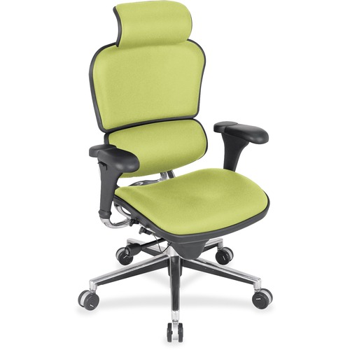 Eurotech Ergohuman Leather Executive Chair - Apple Green Seat Color - Vinyl, Fabric, Leather Seat Material - Apple Green Back Color - Vinyl, Fabric, Leather Back Material - 5-star Base - 1 Each