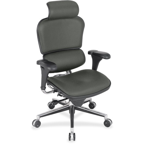 Eurotech Ergohuman Leather Executive Chair - Ebony Seat Color - Fabric, Leather Seat Material - Ebony Back Color - Fabric, Leather Back Material - 5-star Base - 1 Each