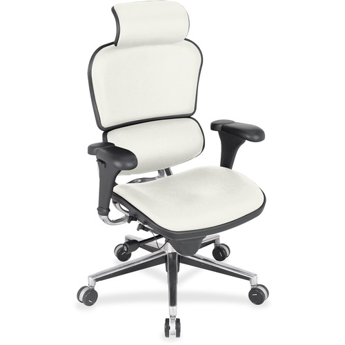 Eurotech Ergohuman Leather Executive Chair - Snow Seat Color - Fabric, Leather, Vinyl Seat Material - Snow Back Color - Vinyl, Fabric, Leather Back Material - High Back - 5-star Base - 1 Each