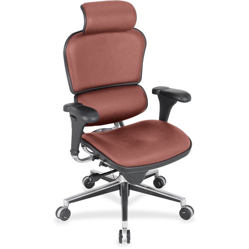 Eurotech Ergohuman Leather Executive Chair - Cordovan Seat Color - Fabric, Leather, Vinyl Seat Material - Cordovan Back Color - Vinyl, Fabric, Leather Back Material - High Back - 5-star Base - 1 Each