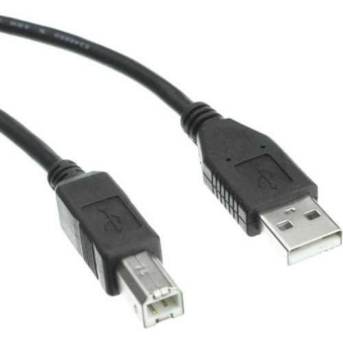 Axiom USB 2.0 Type-A to USB Type-B Cable M/M 10ft - 10 ft USB Data Transfer Cable for Mouse, Keyboard, Portable Hard Drive, Printer, Camera - First End: 1 x USB 2.0 Type A - Male - Second End: 1 x USB 2.0 Type B - Male - 480 Mbit/s - Shielding