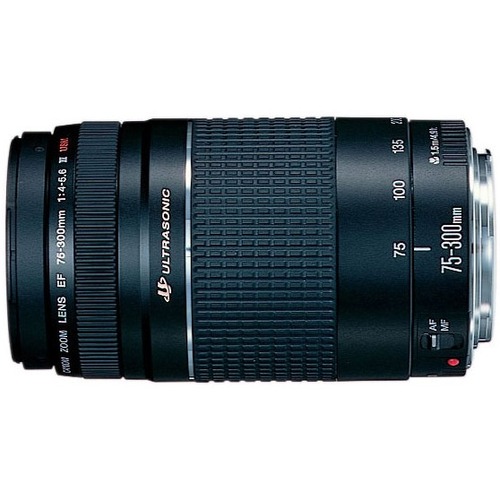 Canon EF 75-300mm f/4-5.6 III Telephoto Zoom Lens - f/4 to 5.6