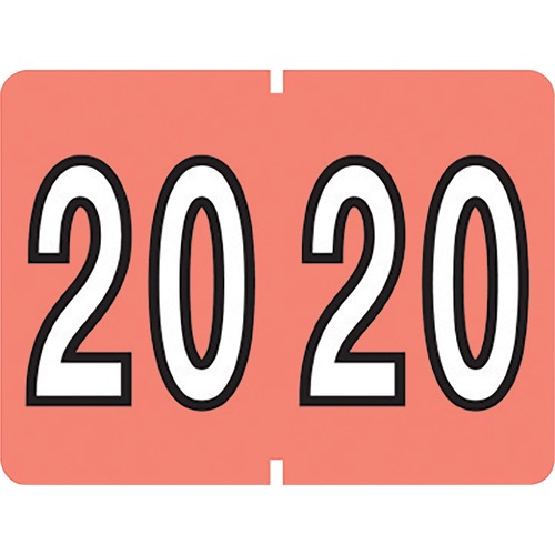 Pendaflex ID Label - "2020" - Self-adhesive Adhesive - Rectangle - Pink - 500 / Box