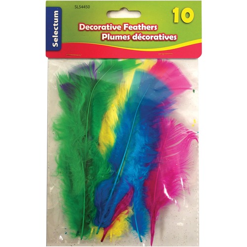 Selectum Feather - Decoration, Art Project, Craft Project - 10 / Pack - Assorted