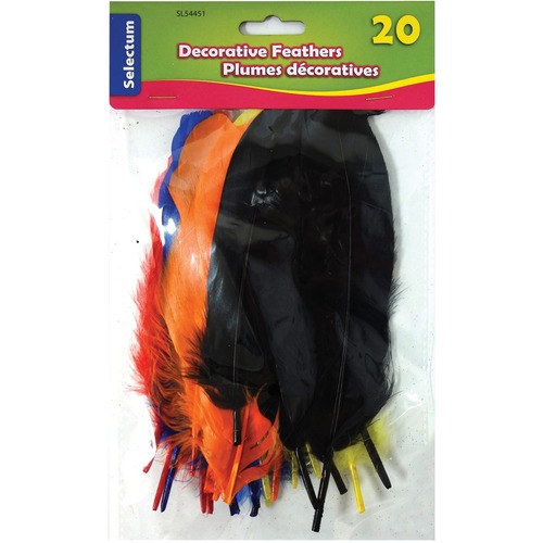 Selectum Feather - Decoration, Art Project, Craft Project - 20 / Pack - Assorted