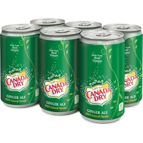 Coca-Cola Canada Dry Ginger Ale - Ready-to-Drink - Ginger Ale Flavor - 222 mL - 6 / Pack - 6 / Pack