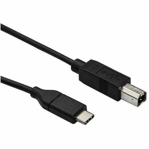 Axiom USB 2.0 Type-C to USB Type-B Cable M/M 10ft - 10 ft USB Data Transfer Cable for Audio/Video Device - First End: 1 x USB 2.0 Type C - Male - Second End: 1 x USB Type B - Male