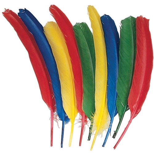 Quill Feathers - 12", 24/Pkg