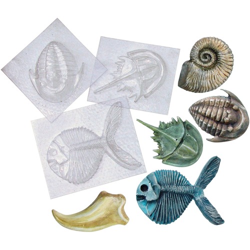 Fossil Molds - Creative Starters - ROY52002