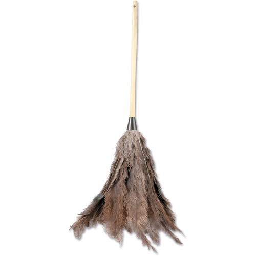 Boardwalk Professional Ostrich Feather Duster, 16" Handle - 15" Ostrich Feather Bristle - 16" Handle Length - 31" Overall Length - Natural Wood Handle - 1 Each