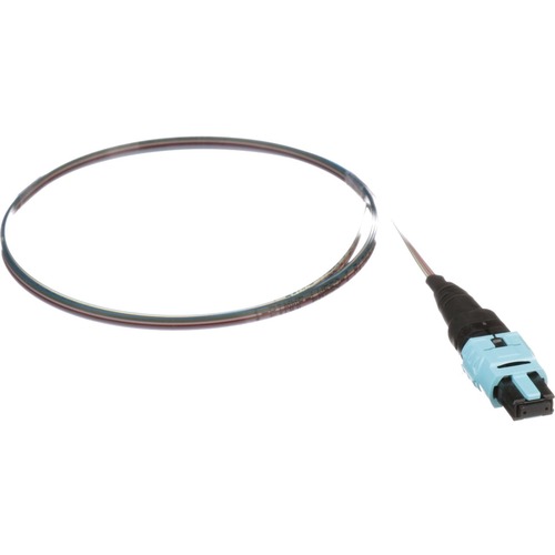 Panduit Ribbon Pigtail Assembly - 3.28 ft Fiber Optic Network Cable for Network Device - First End: 1 x PanMPO Network - Female - Second End: 1 x Pigtail - 50/125 µm - 1