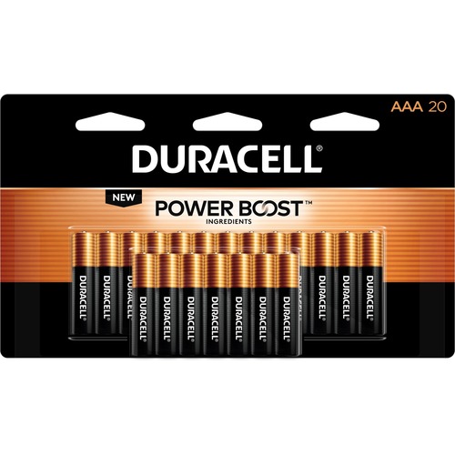 Duracell Coppertop Alkaline AAA Battery 20-Packs - For Multipurpose - AAA - 1.5 V DC - 240 / Carton