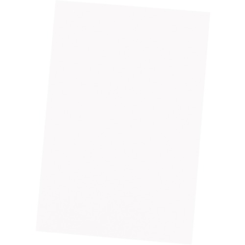 Bristol Board 2-ply, White, 22" x 28" - 1 Each - Bristol Board & Poster Board - NPP0248110