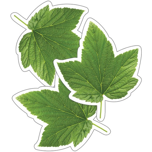 Schoolgirl Style Woodland Whimsy Green Leaf Cut-Outs - Learning, Season, Fall/Autumn Theme/Subject - Green Leaf - Green - Card Stock - 36 / Pack