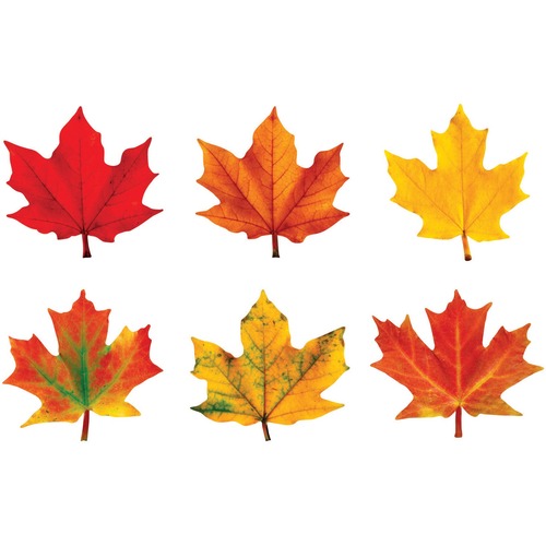 Classic Accents Variety Pack - Maple Leaves - Accents - TEPT10958
