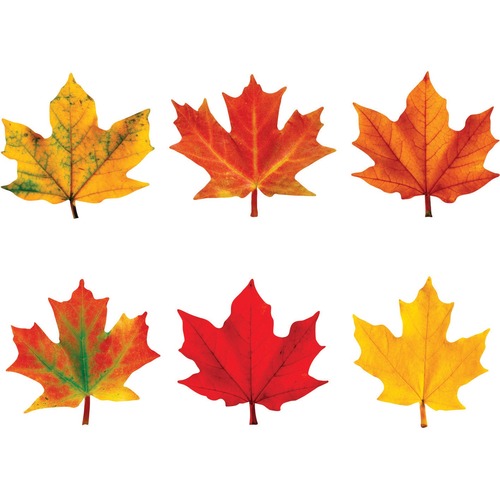 Mini Accents Variety Pack - Maple Leaves