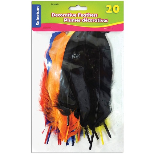 Decorative Feathers Medium Sizes Assorted Colours