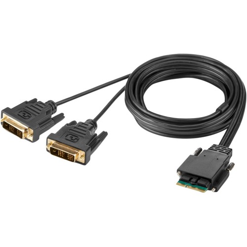 Belkin Modular DVI Dual Head Console Cable 6 Feet - 6 ft KVM Cable for KVM Console, KVM Switch, Computer, Monitor - First End: 2 x DVI Digital Video - Male - Second End: 1 x Modular - Gold Plated Connector - TAA Compliant