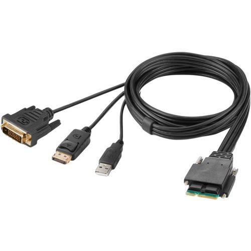 Belkin Modular DVI and DP Dual Head Host Cable 6 Feet - 6 ft KVM Cable for KVM Console, KVM Switch, Monitor, Computer, Keyboard, Mouse - First End: 1 x DVI Digital Video - Male, 1 x DisplayPort Digital Audio/Video - Male, 1 x USB Type A - Male - Second En