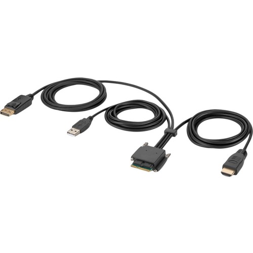 Belkin Modular HDMI and DP Dual Head Host Cable 6 Feet - 6 ft KVM Cable for KVM Console, KVM Switch, Monitor, Computer, Keyboard, Mouse - First End: 1 x DisplayPort Digital Audio/Video - Male, 1 x HDMI Digital Audio/Video - Male, 1 x USB Type A - Male - S