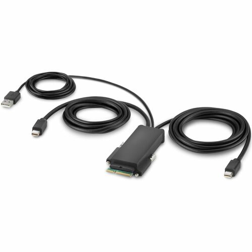 Belkin Modular Mini DisplayPort Dual Head Host Cable 6 Feet - 6 ft Mini DisplayPort A/V Cable for Audio/Video Device, KVM Switch, Remote Control - First End: 2 x Mini DisplayPort Digital Audio/Video