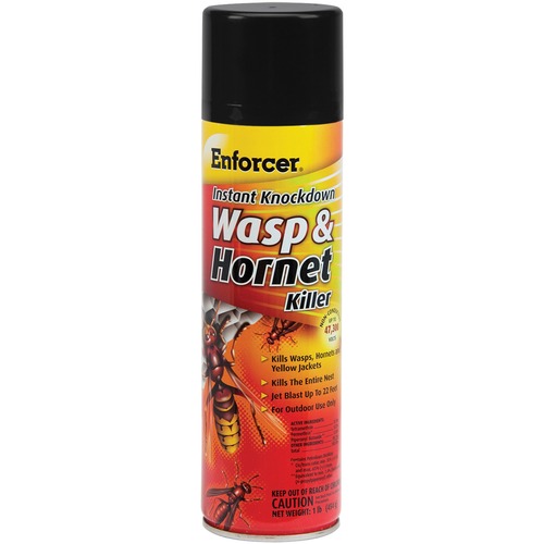 Enforcer Instant Knockdown Wasp/Hornet Spray - Spray - Kills Wasp, Hornet, Yellow Jacket - 16 fl oz - Clear, Light Yellow - 12 / Carton