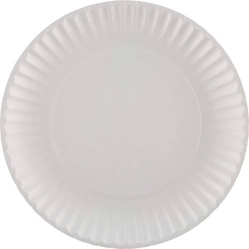 Dixie Uncoated Paper Plates 9" 1,000/ctn - Art - 1000 / Carton