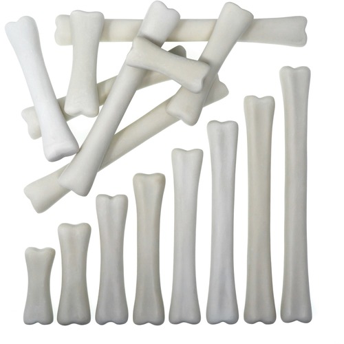 Dinosaur Bones Discovery Set - Set of 12 Bones