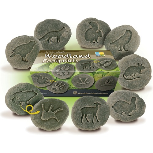 Let's Investigate Woodland Footprints - Set of 8 Stones